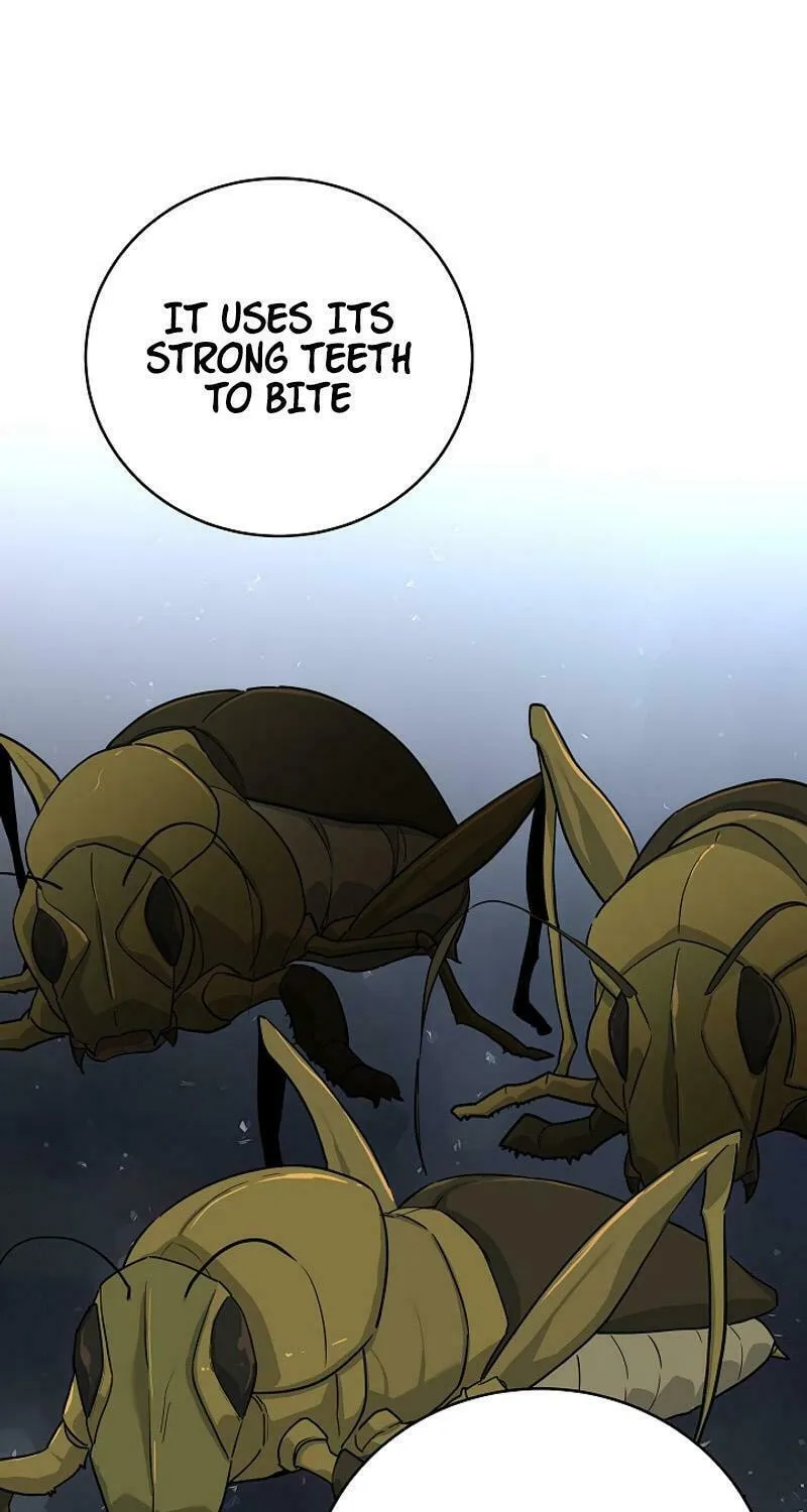 Read The Raider chapter 17 image 65 on Lezhin