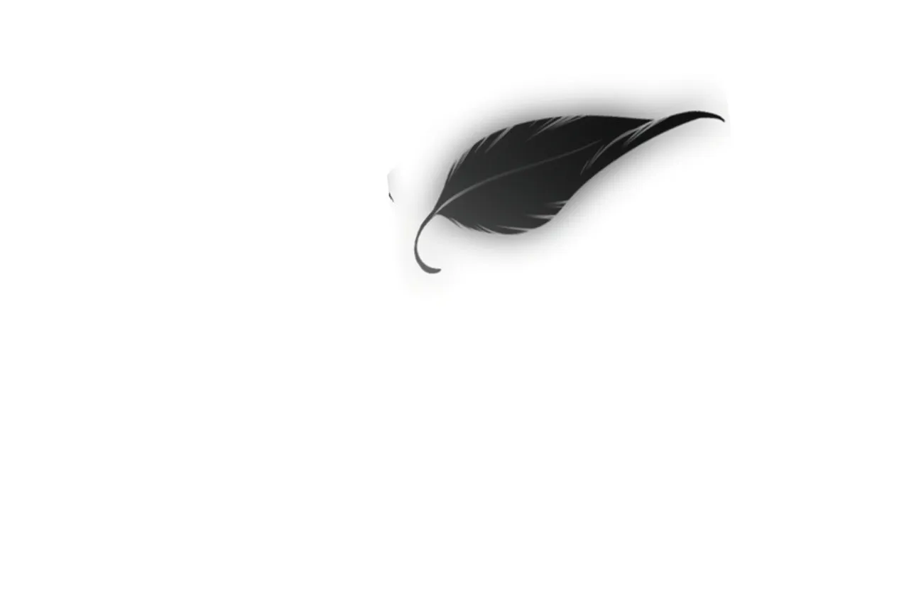 Read The Raven