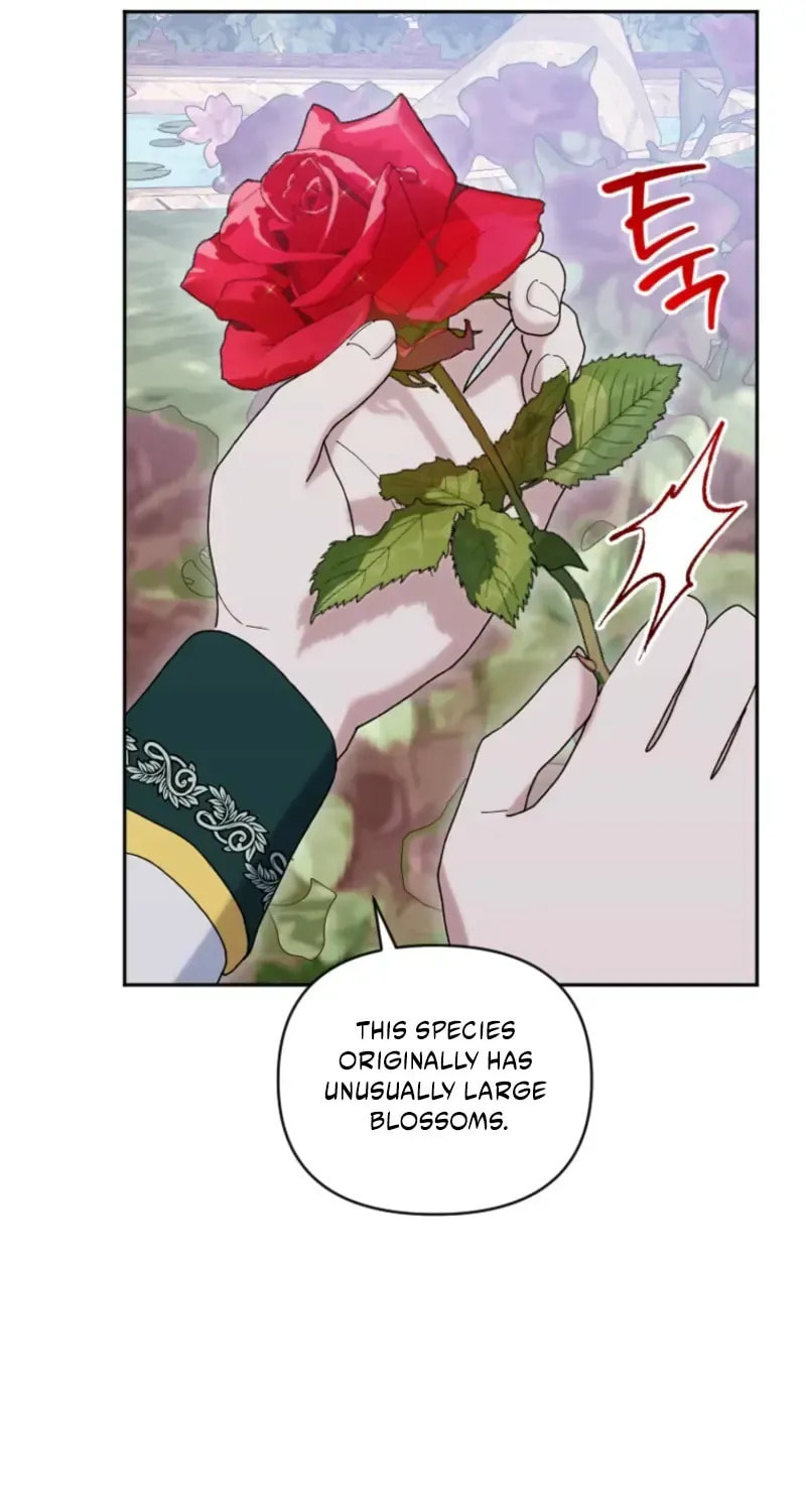 Read The Reason for Avoiding Him, the Perfect One chapter 25 image 60 on Lezhin