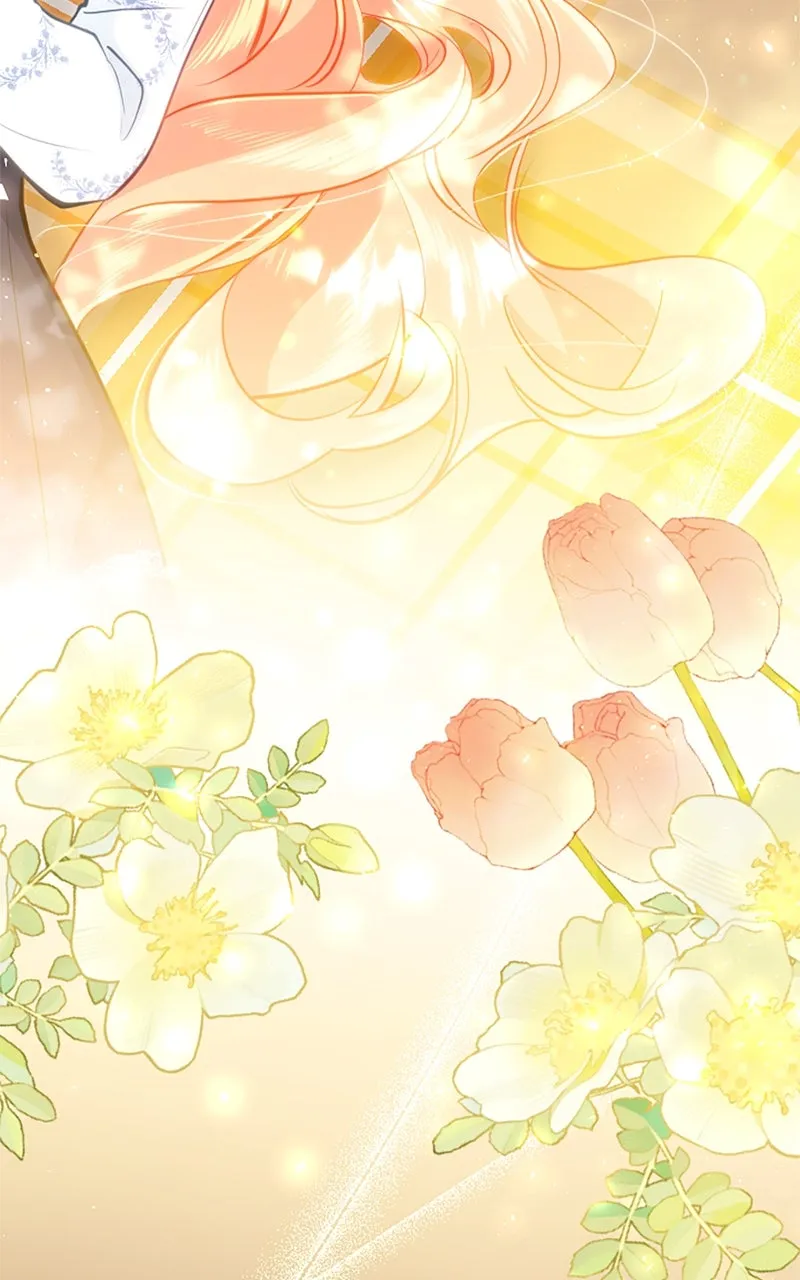 The Reason for the Twin Lady’s Disguise Chapter 100 page 117 - 