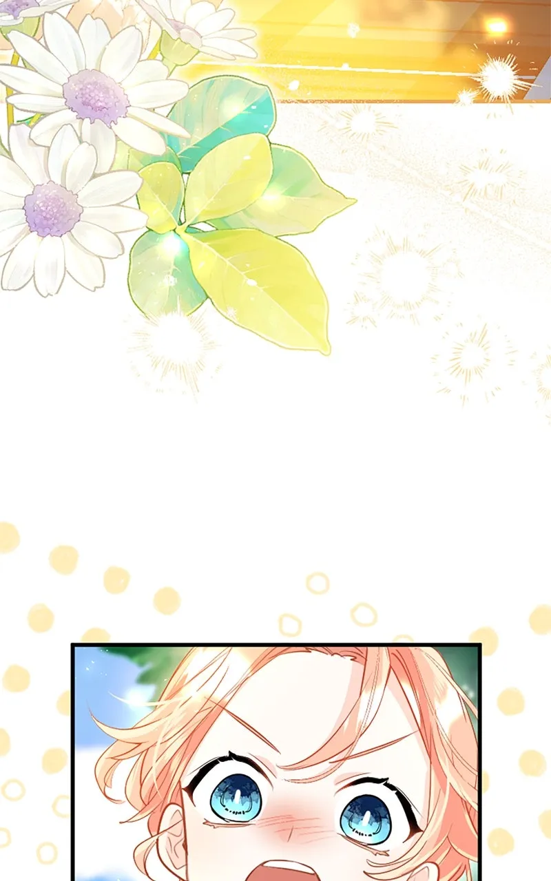 The Reason for the Twin Lady’s Disguise Chapter 100 page 62 - 