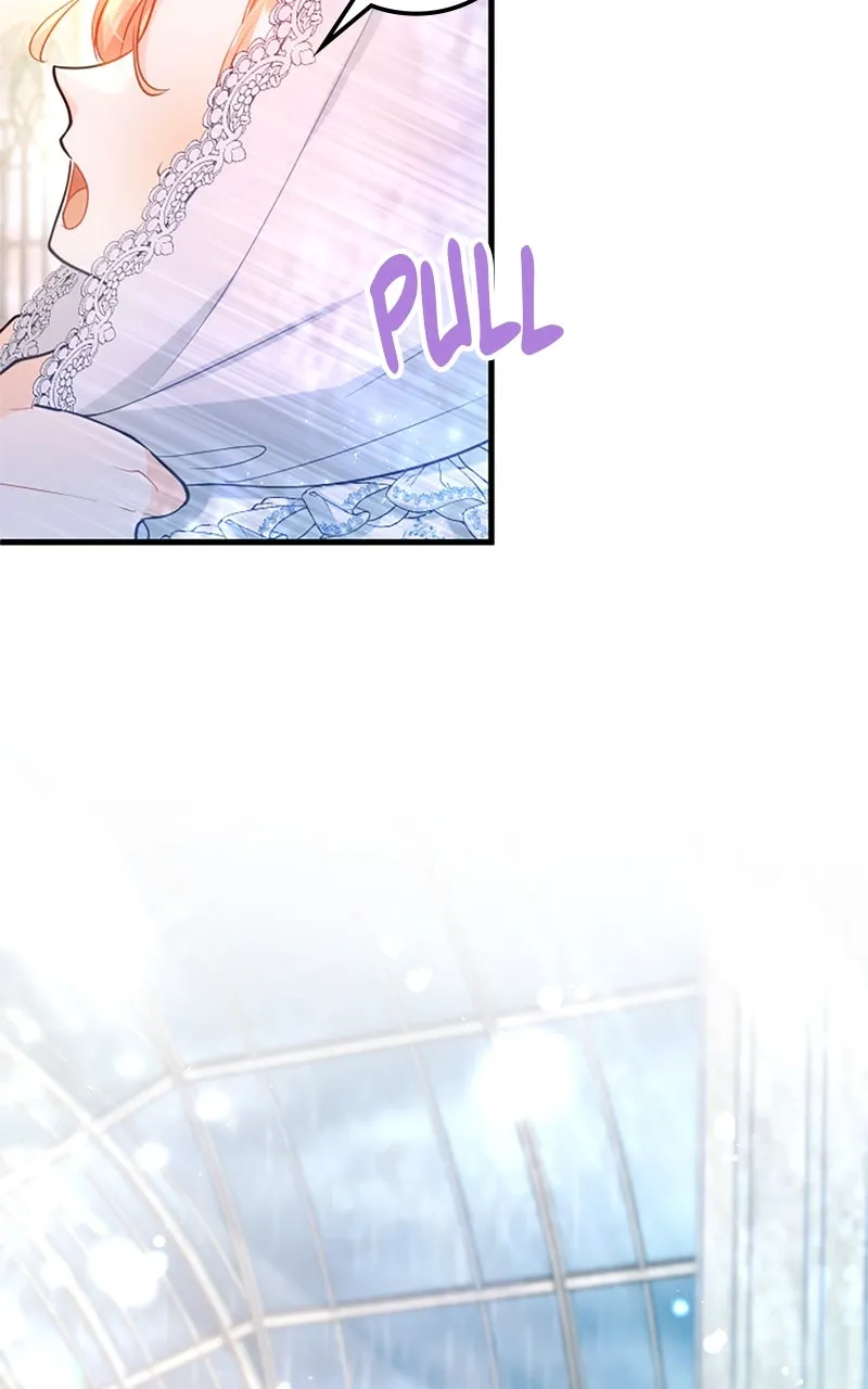 The Reason for the Twin Lady’s Disguise Chapter 101 page 89 - 