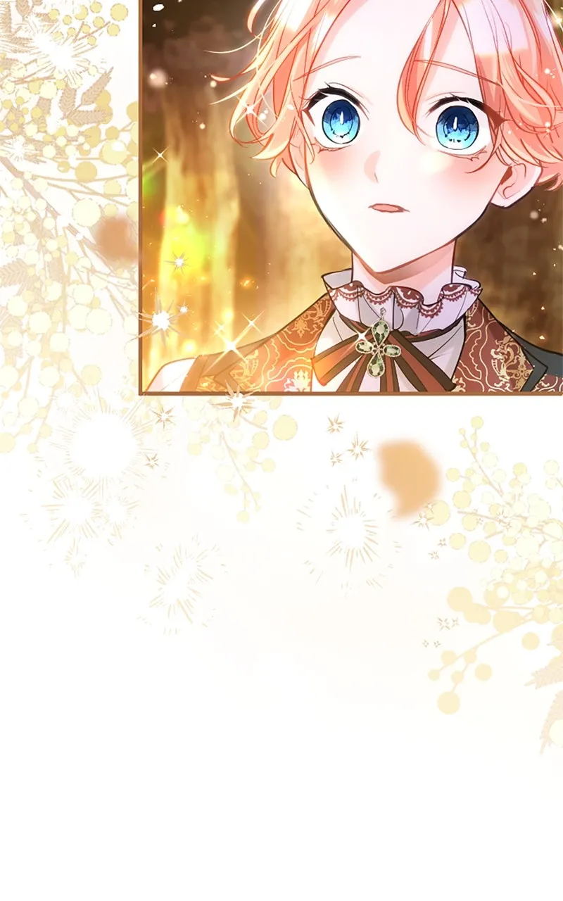 The Reason for the Twin Lady’s Disguise Chapter 102 page 54 - 