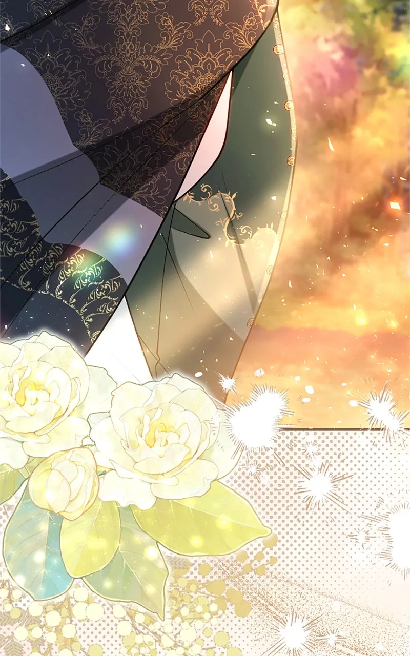 The Reason for the Twin Lady’s Disguise Chapter 102 page 68 - 
