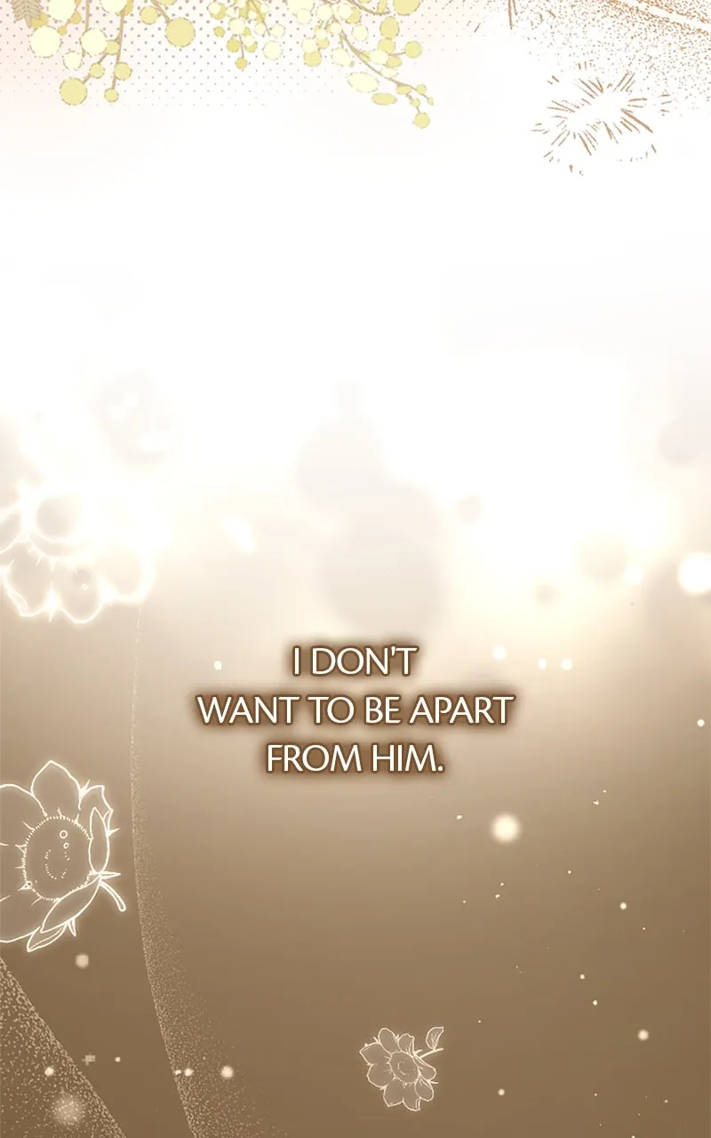 The Reason for the Twin Lady’s Disguise Chapter 102 page 69 - 