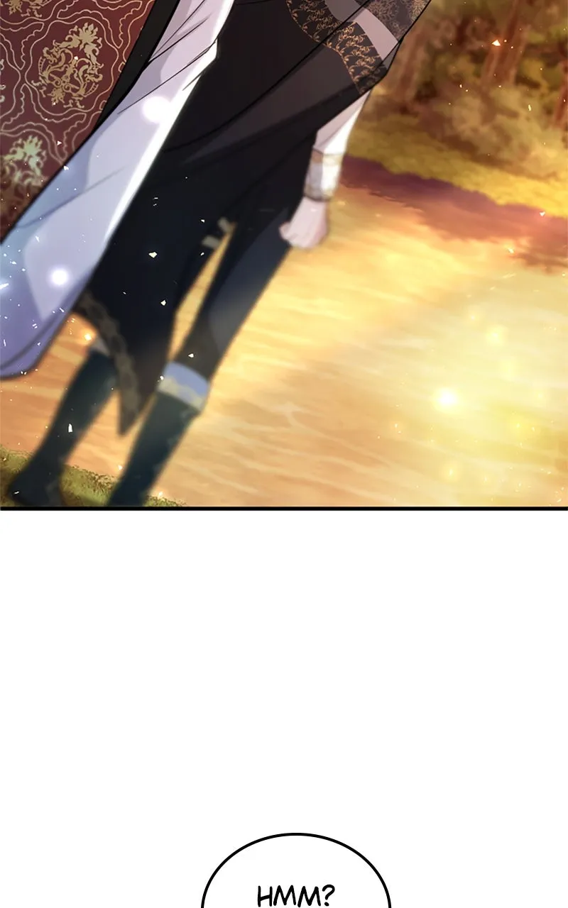 The Reason for the Twin Lady’s Disguise Chapter 102 page 78 - 