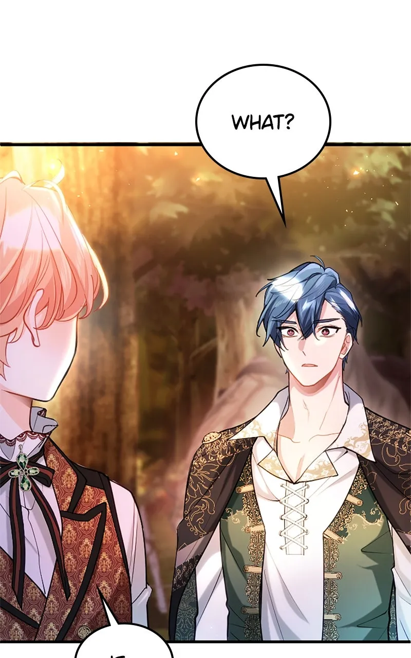 The Reason for the Twin Lady’s Disguise Chapter 102 page 94 - 
