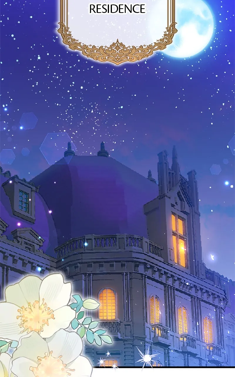 The Reason for the Twin Lady’s Disguise Chapter 104 page 2 - 