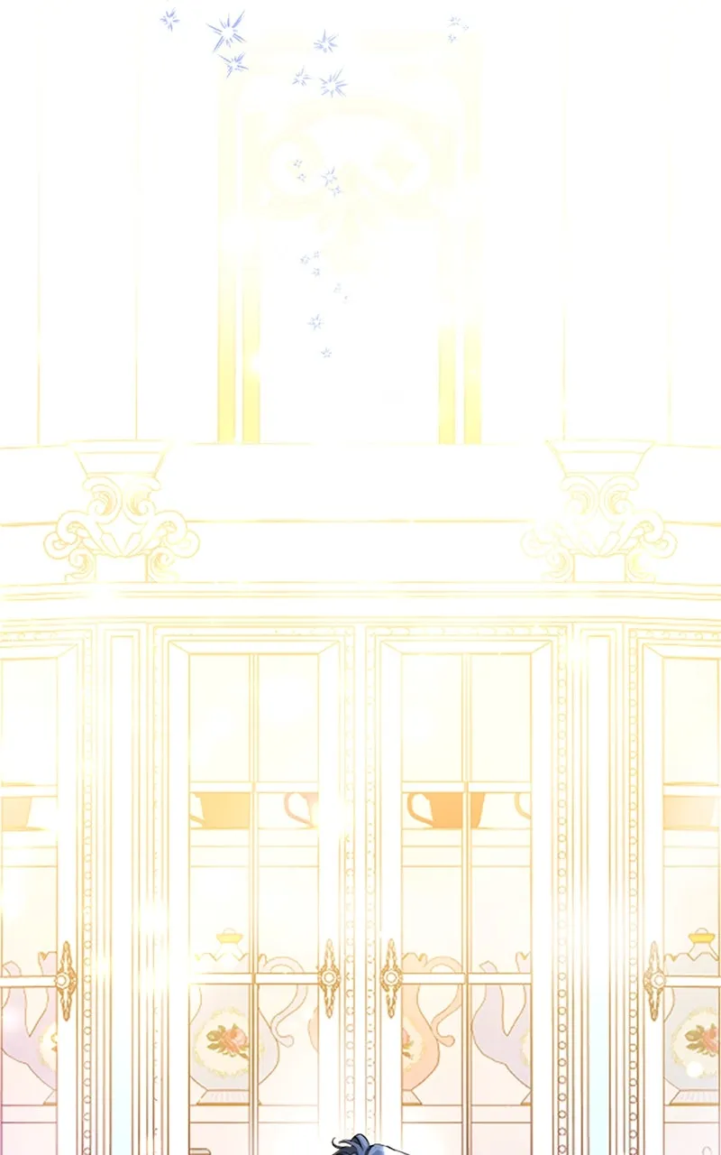 The Reason for the Twin Lady’s Disguise Chapter 104 page 17 - 