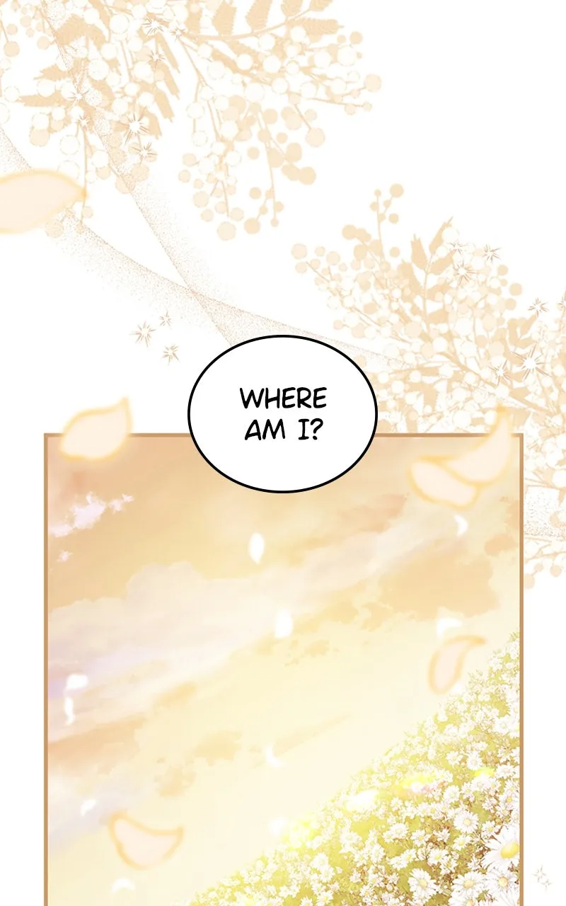 The Reason for the Twin Lady’s Disguise Chapter 104 page 69 - 