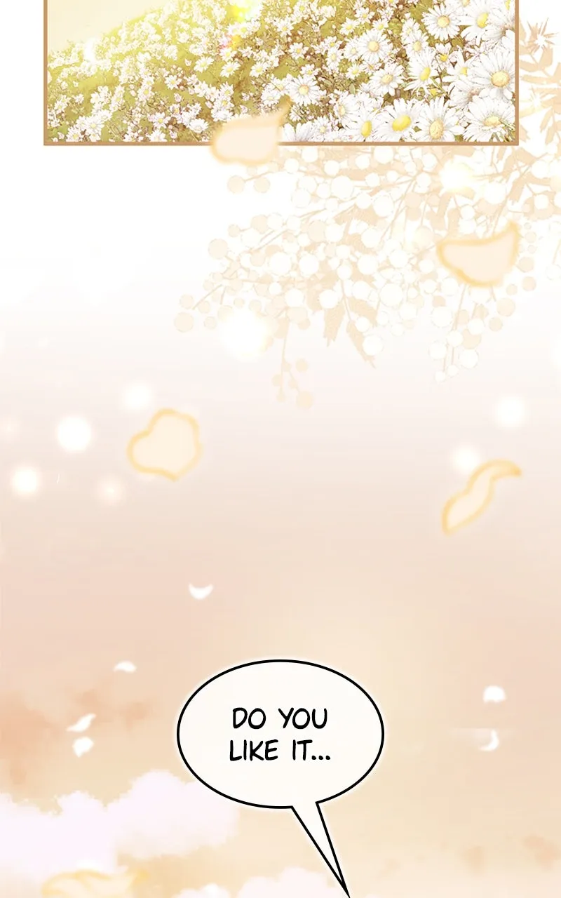 The Reason for the Twin Lady’s Disguise Chapter 104 page 70 - 
