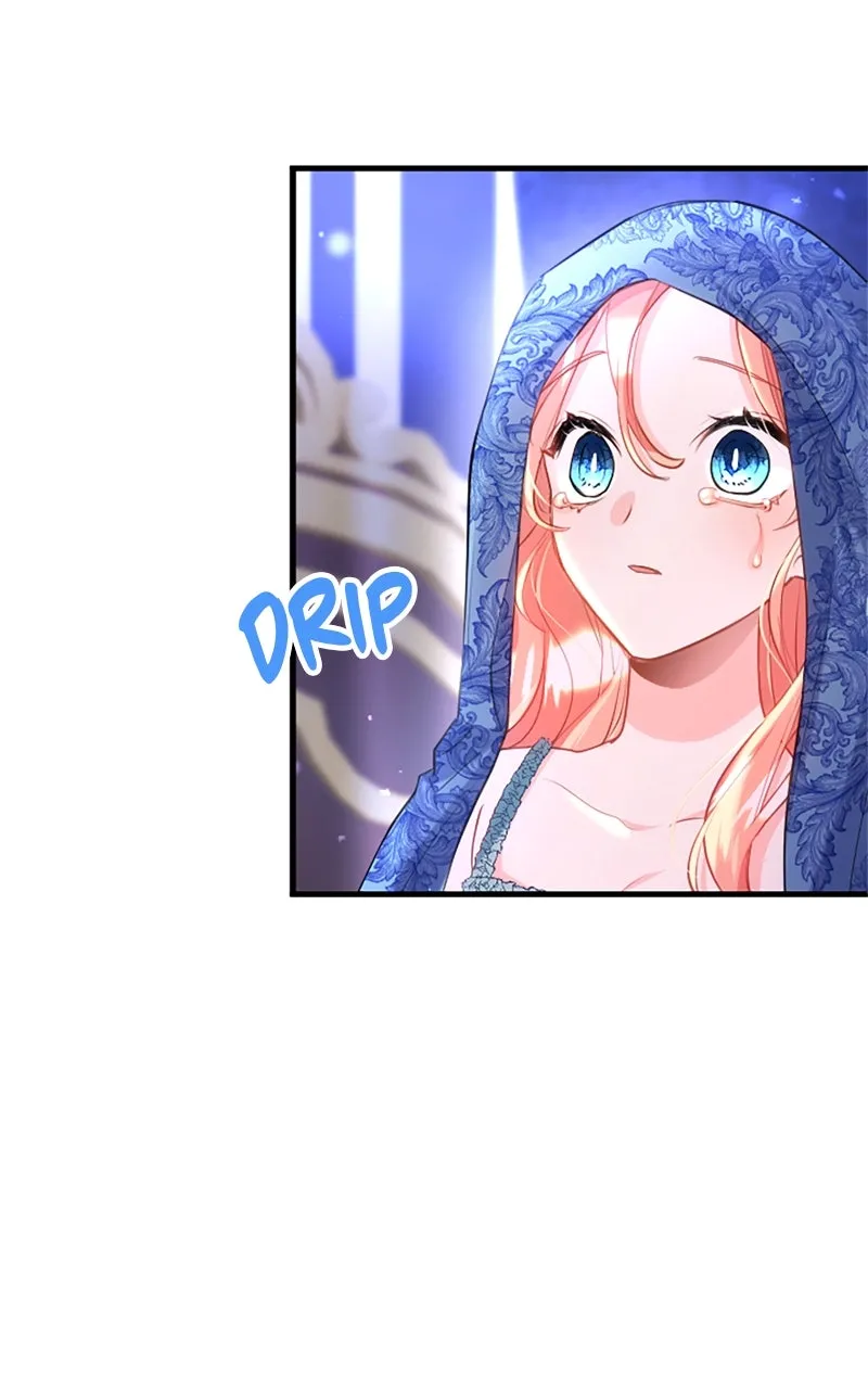 The Reason for the Twin Lady’s Disguise Chapter 106 page 89 - 