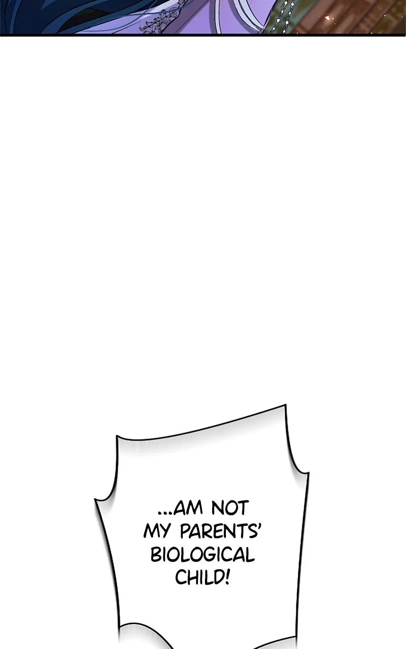 The Reason for the Twin Lady’s Disguise Chapter 108 page 91 - 