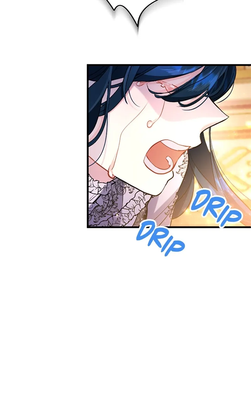 The Reason for the Twin Lady’s Disguise Chapter 108 page 92 - 