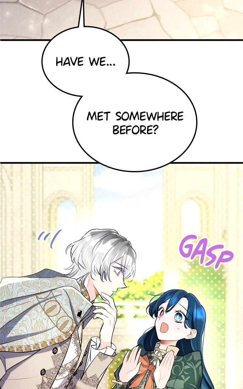 The Reason for the Twin Lady’s Disguise Chapter 109 page 106 - 