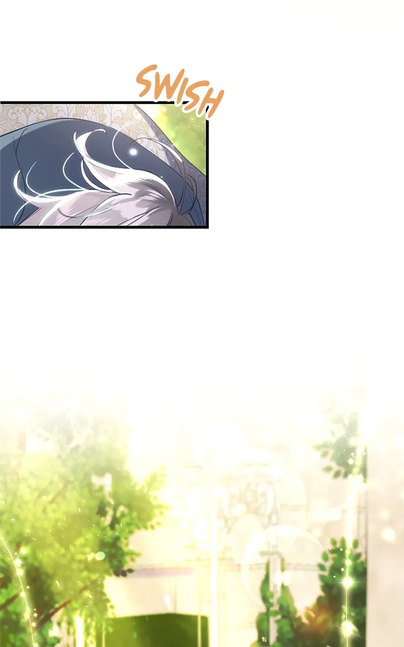 The Reason for the Twin Lady’s Disguise Chapter 109 page 95 - 