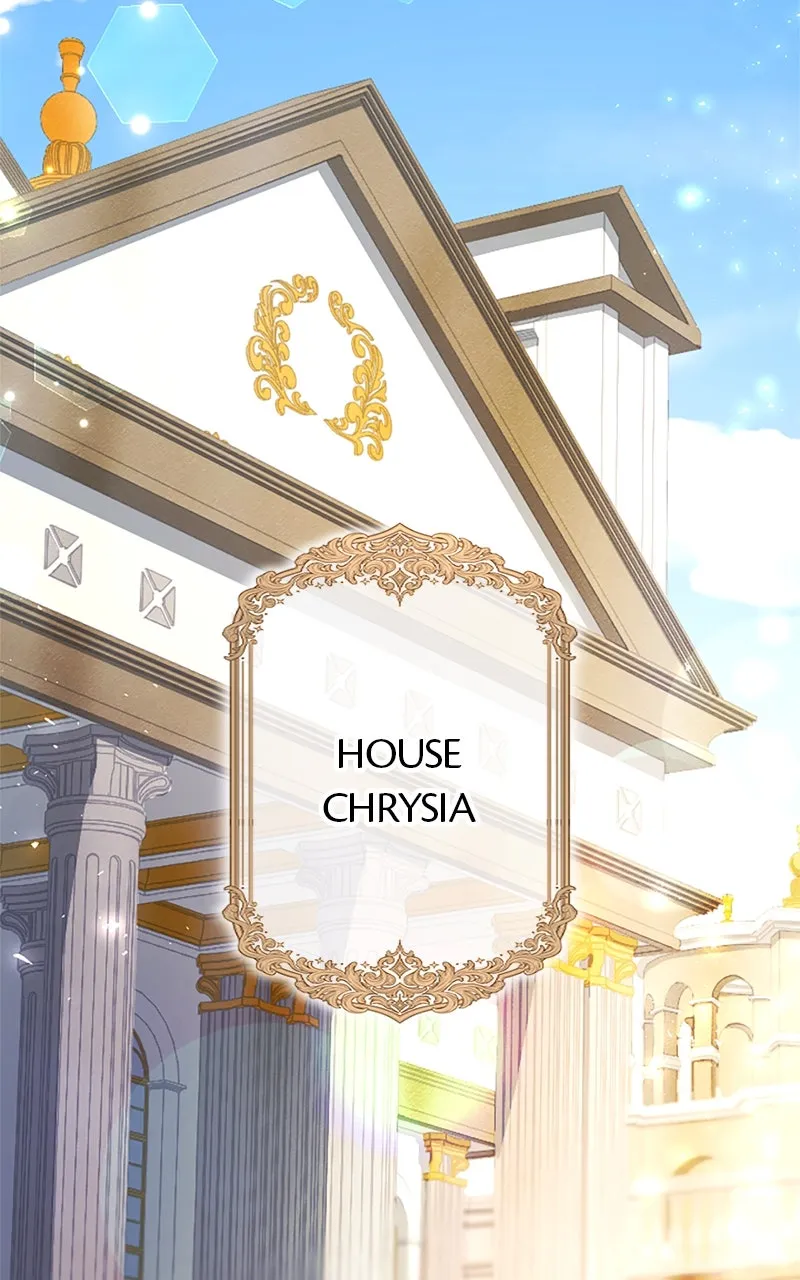 The Reason for the Twin Lady’s Disguise Chapter 99 page 40 - 