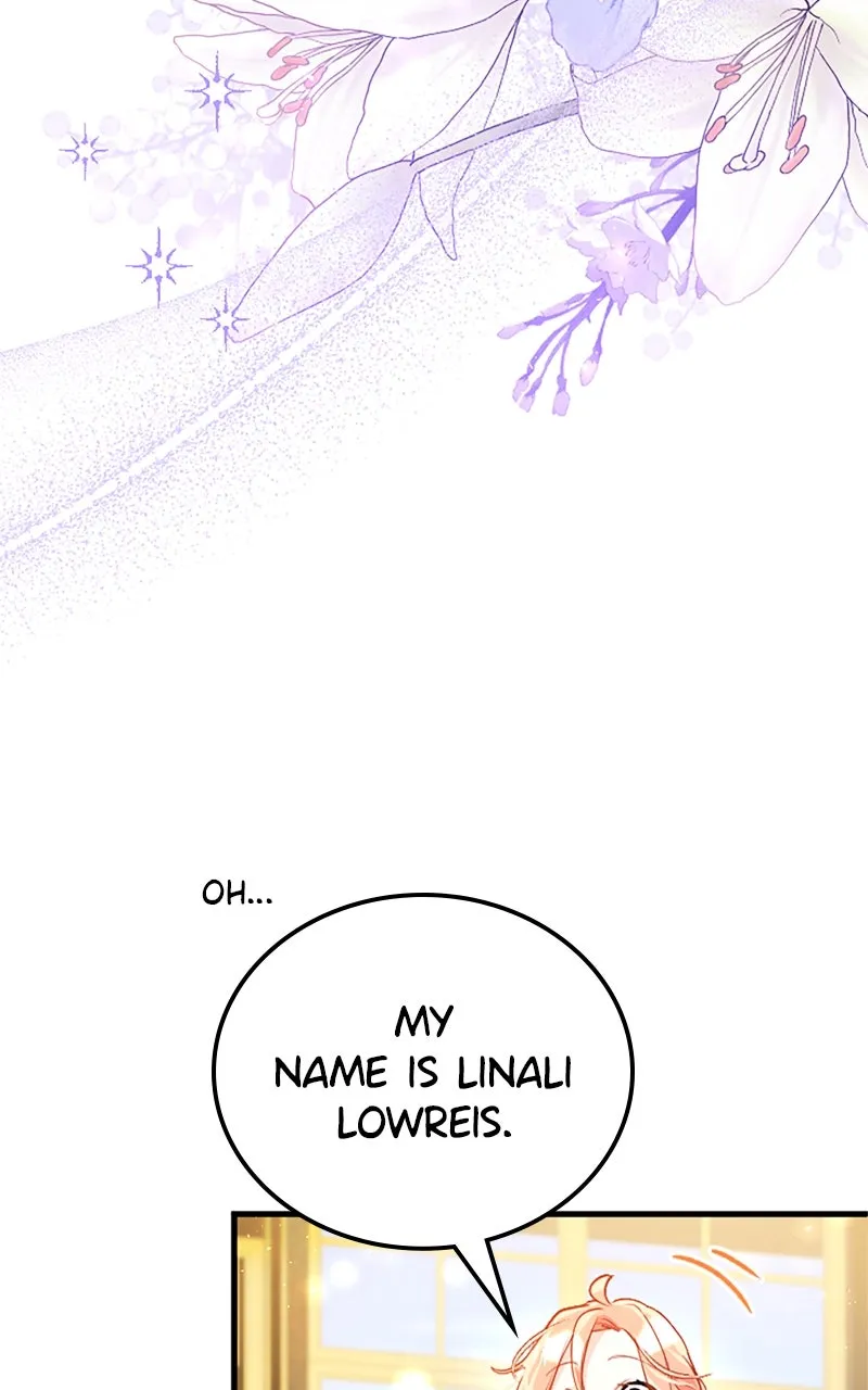 The Reason for the Twin Lady’s Disguise Chapter 99 page 68 - 