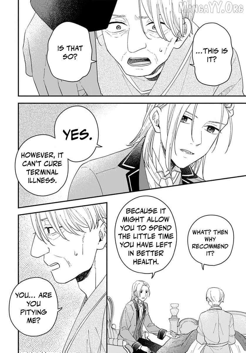 The red haired witch Chapter 19 page 17 - 