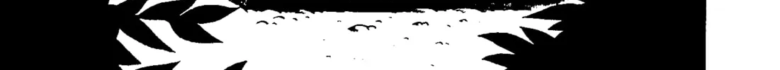 Read The Red Snake chapter 1.1 image 21 on Lezhin