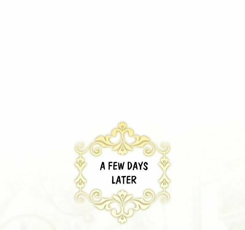 The Regretful Villainess Is Happily Divorced Chapter 35 page 14 - 
