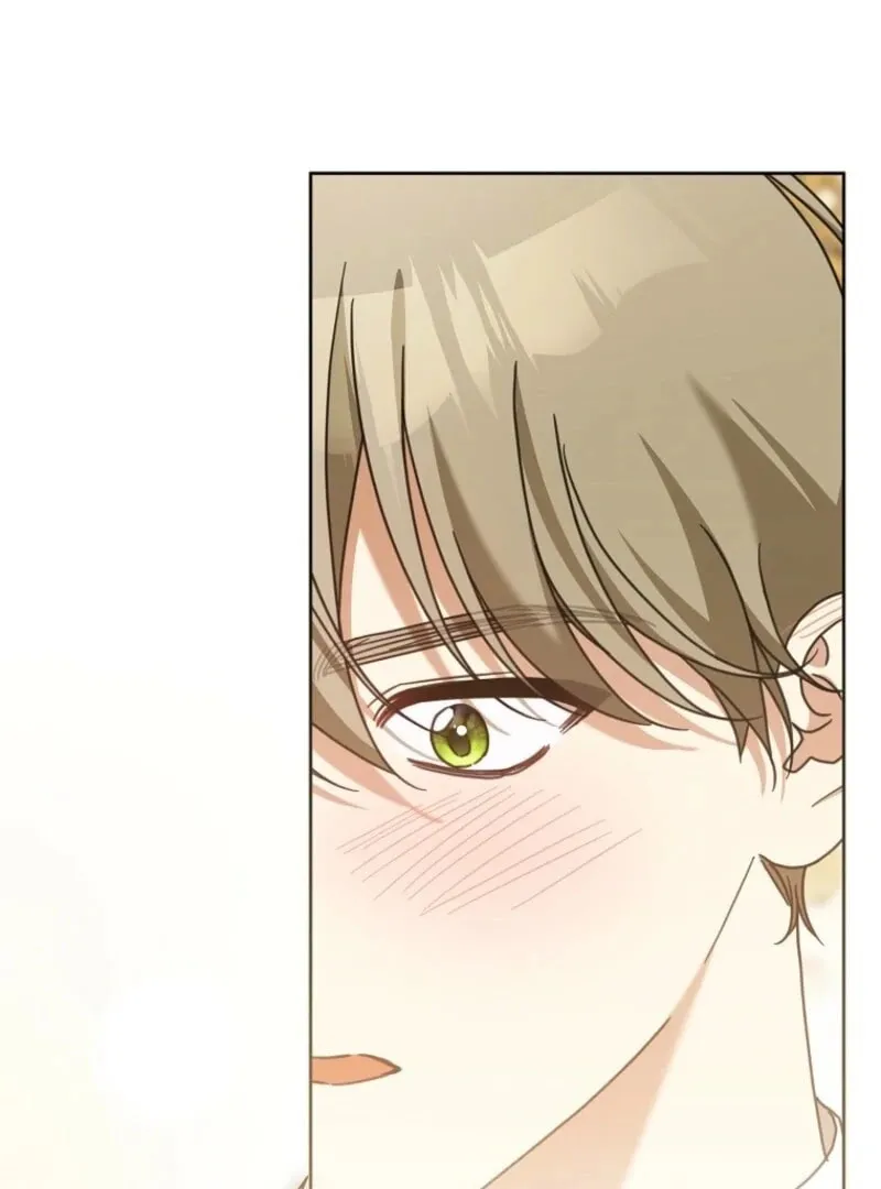 The Regretful Villainess Is Happily Divorced Chapter 42 page 106 - 