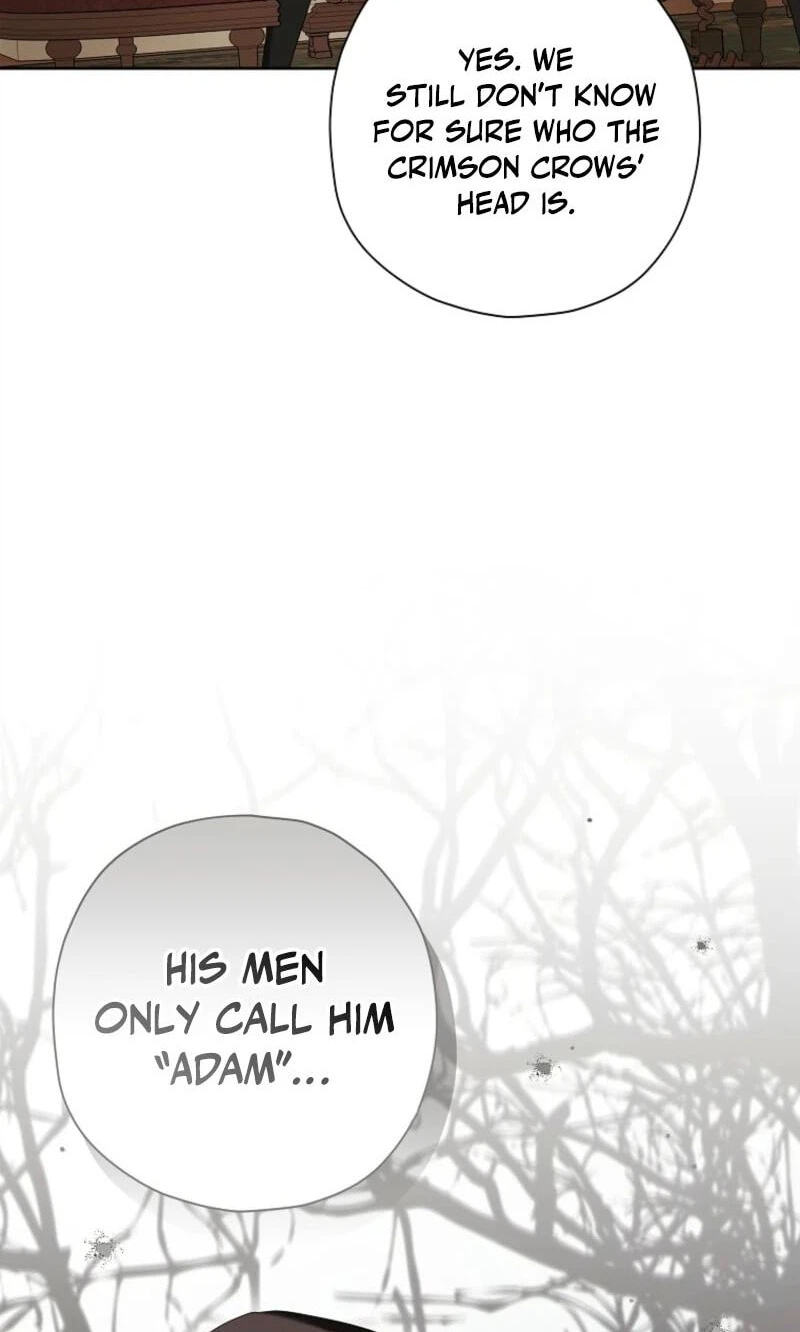The Regretful Villainess Is Happily Divorced Chapter 62 page 33 - 