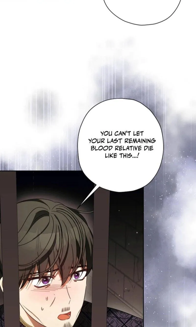 The Regretful Villainess Is Happily Divorced Chapter 69 page 12 - 