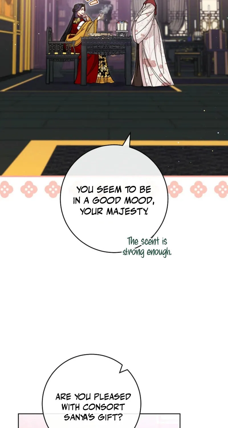 The Resourceful Little Consort Chapter 117 page 13 - 