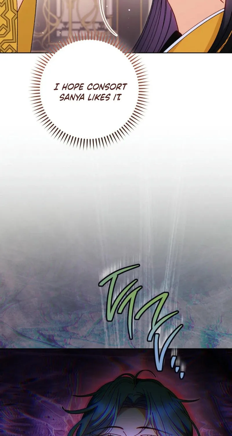 The Resourceful Little Consort Chapter 117 page 27 - 