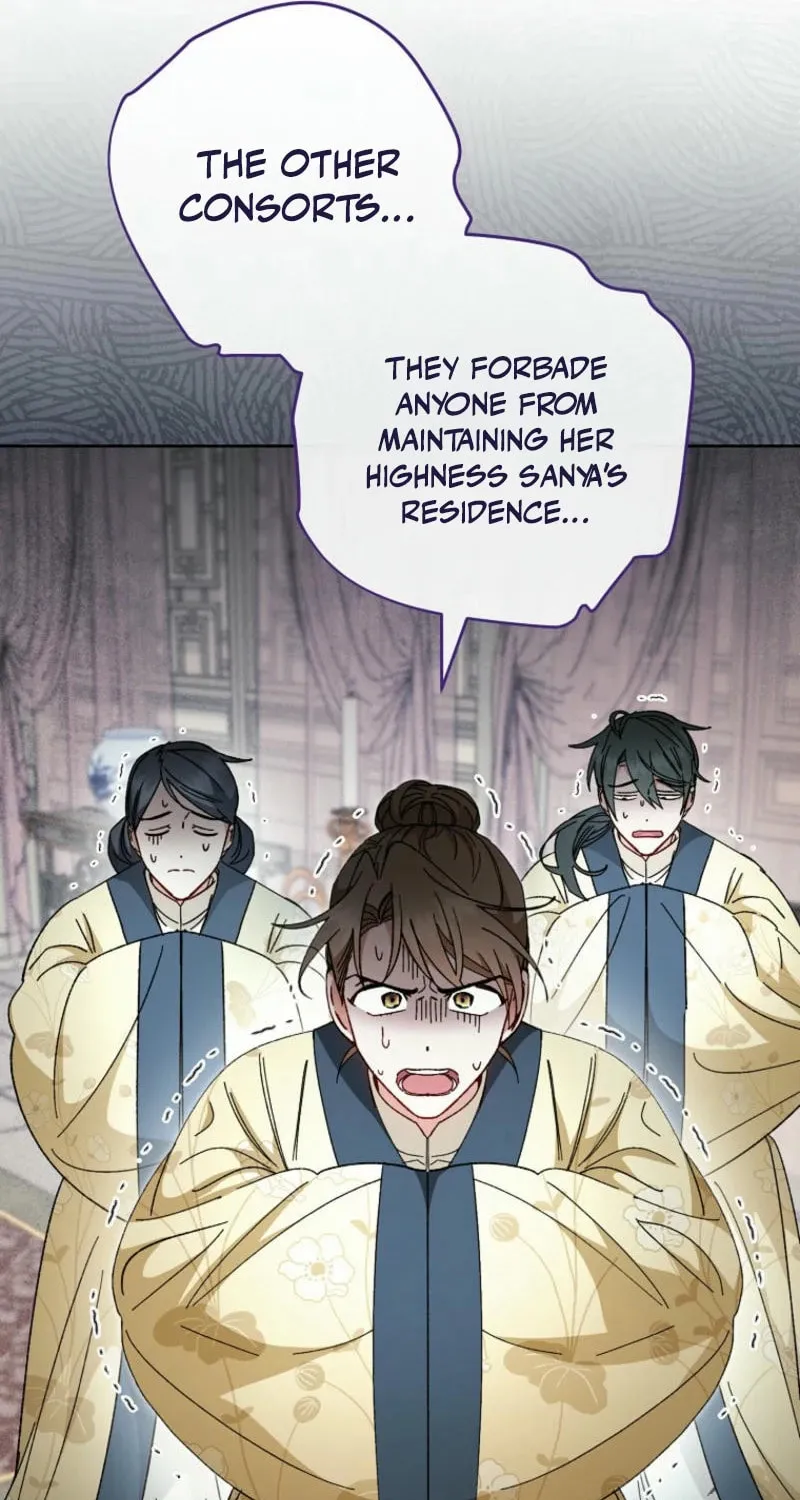 The Resourceful Little Consort Chapter 117 page 80 - 