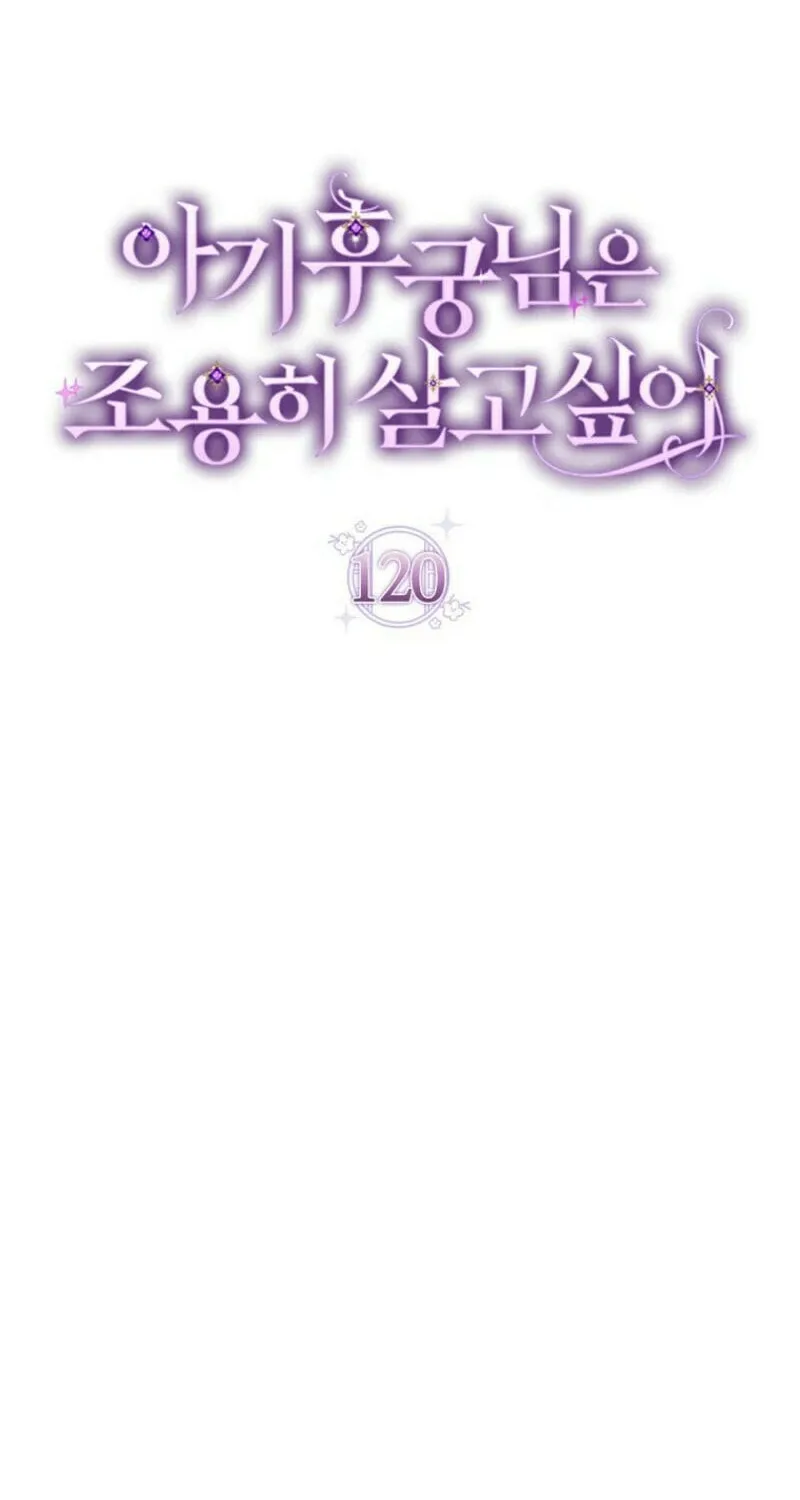 The Resourceful Little Consort Chapter 120 page 12 - 