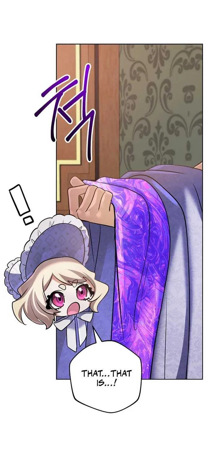 The Return of the Mythical Archmage Chapter 29 page 45 - 