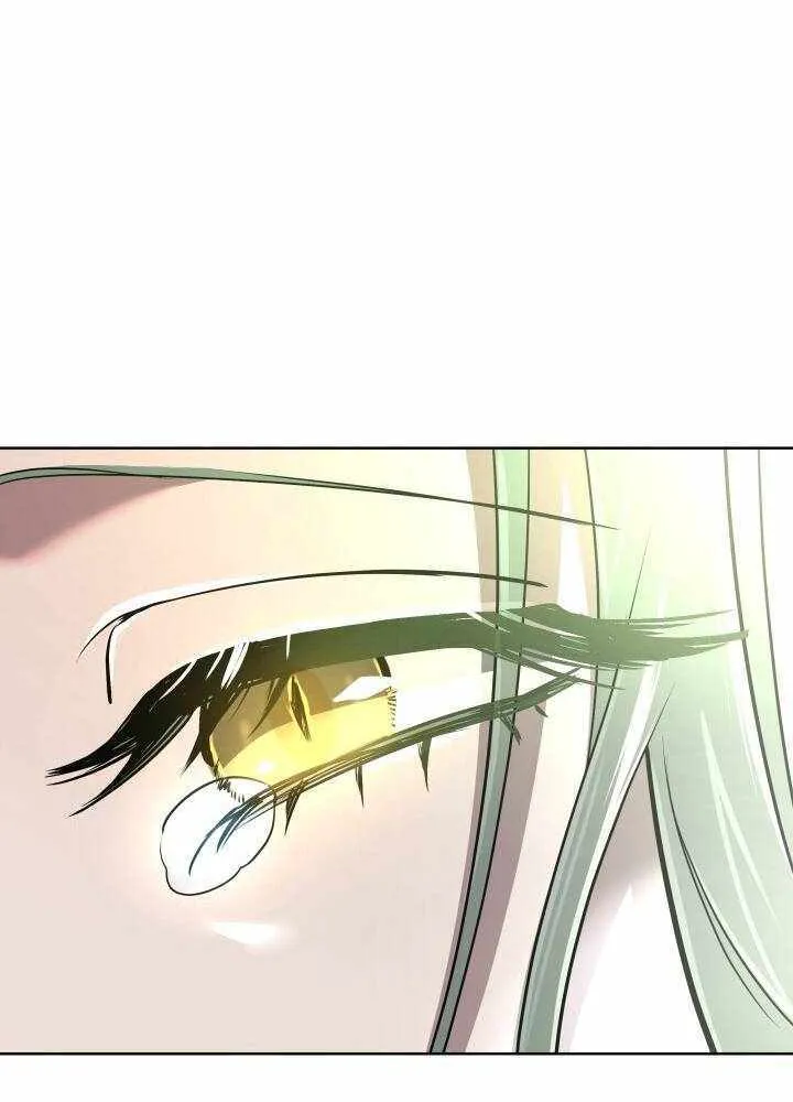 The Return of the Mythical Archmage Chapter 45 page 74 - 