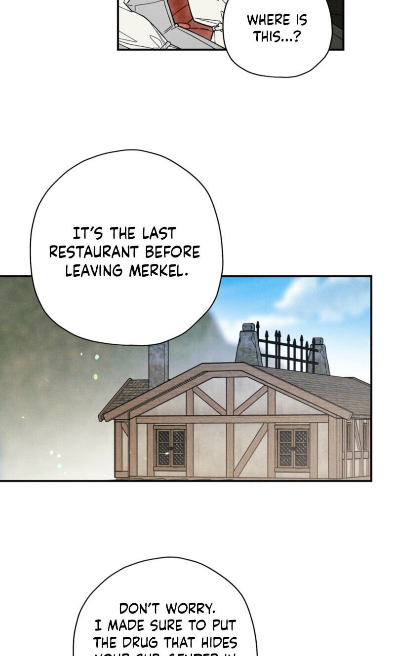 The Rogue Prince Is Secretly an Omega Chapter 107 page 19 - 