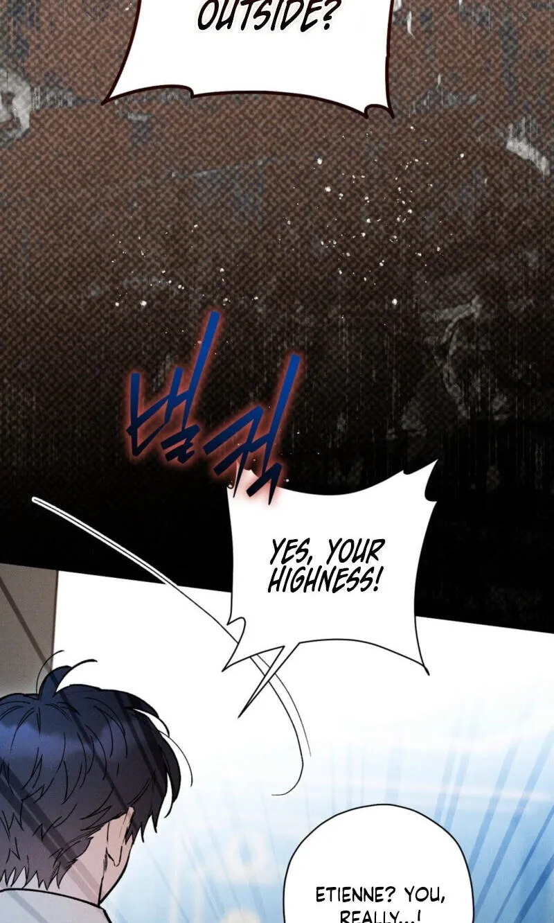 The Rogue Prince Is Secretly an Omega Chapter 110 page 27 - 