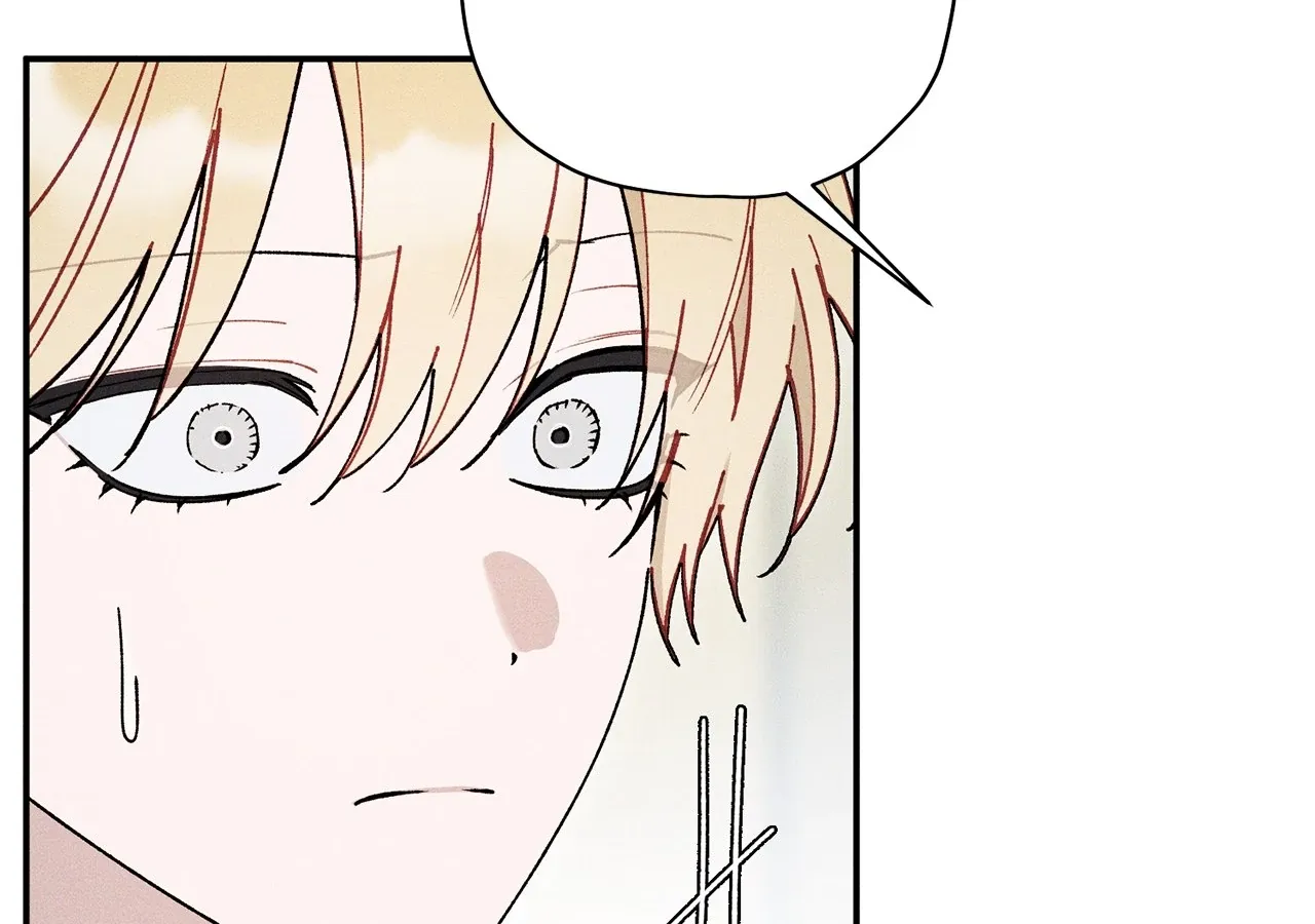 The Rogue Prince Is Secretly an Omega Chapter 90 page 68 - 