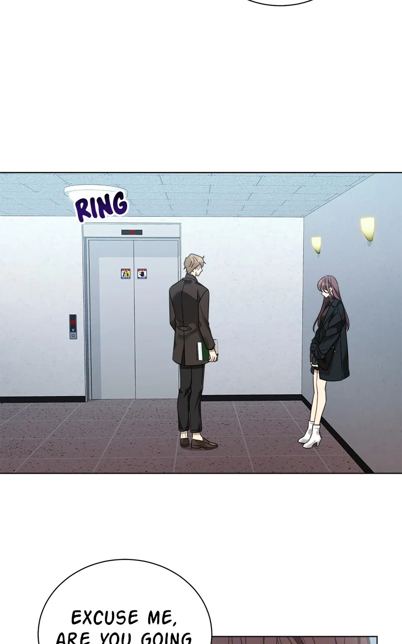 Read The RUNWAY chapter 7 image 35 on Lezhin