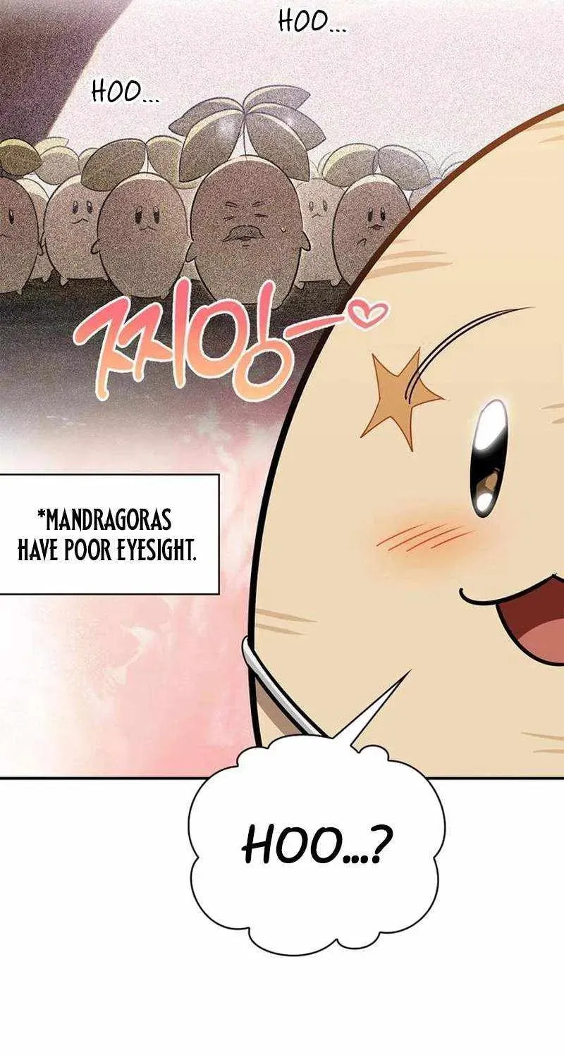 The S-Class Hunter Who Heals Monsters Chapter 41 page 34 - 