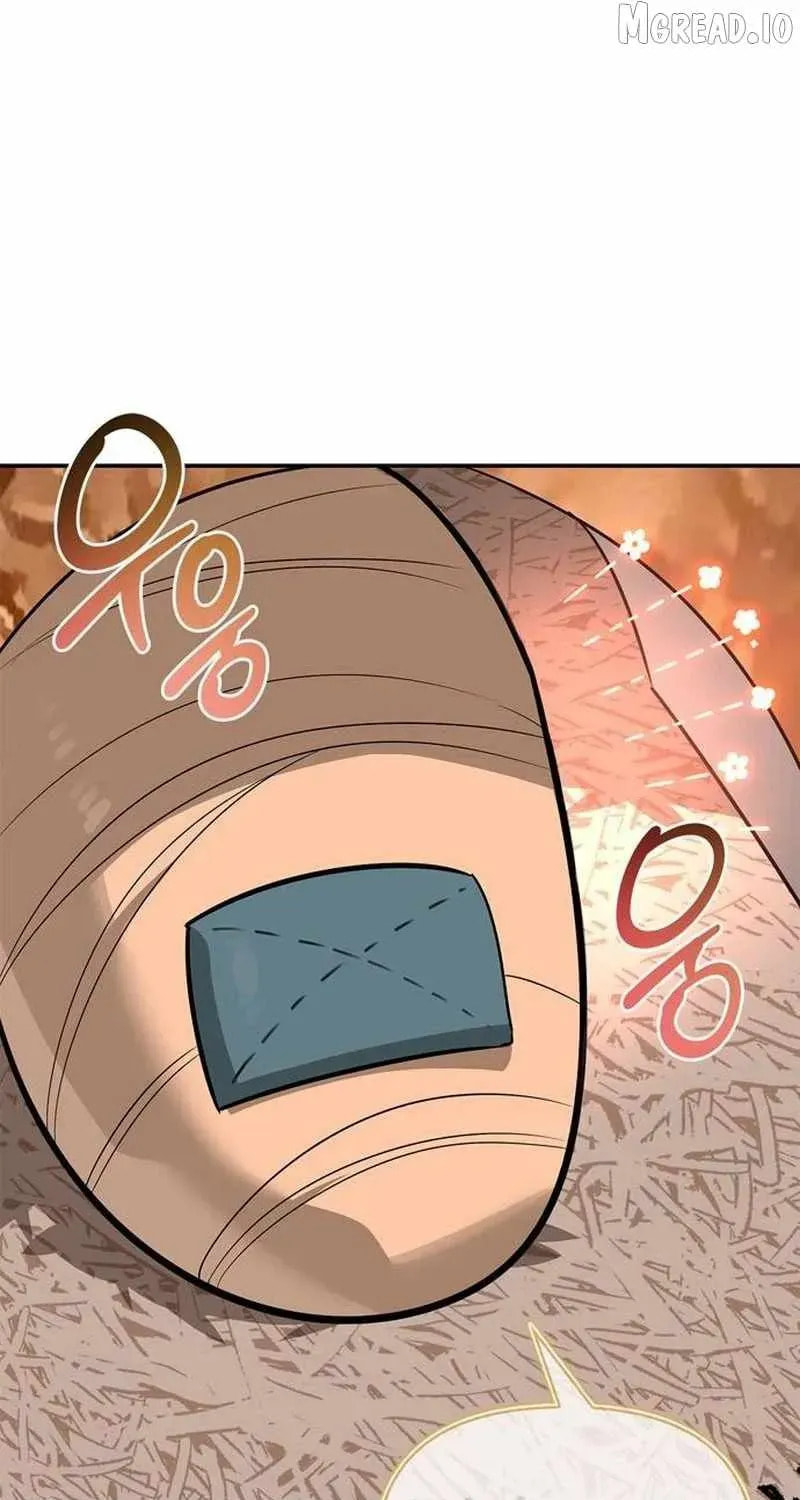 The S-Class Hunter Who Heals Monsters Chapter 43 page 115 - 
