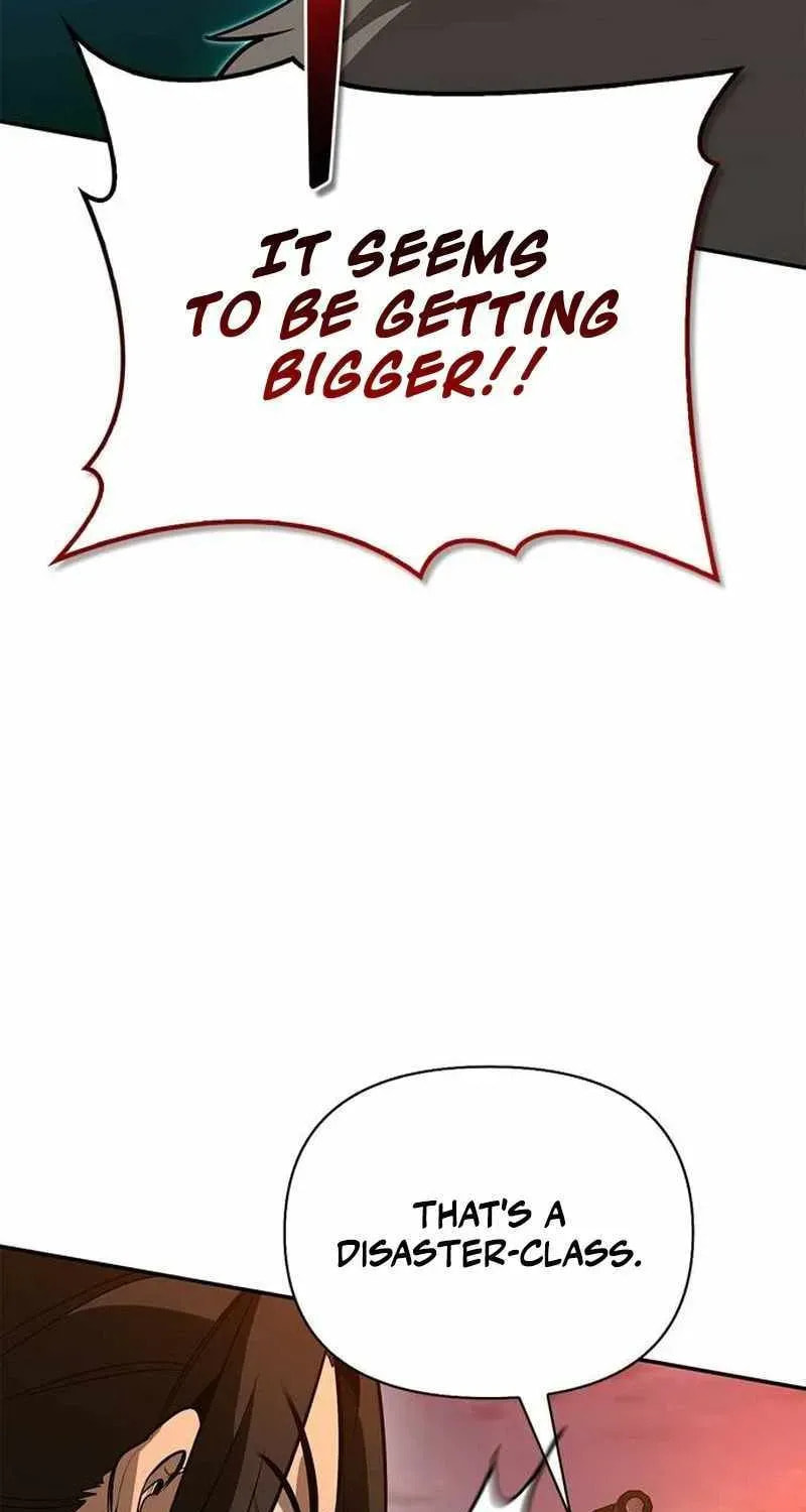 The S-Class Hunter Who Heals Monsters Chapter 43 page 3 - 