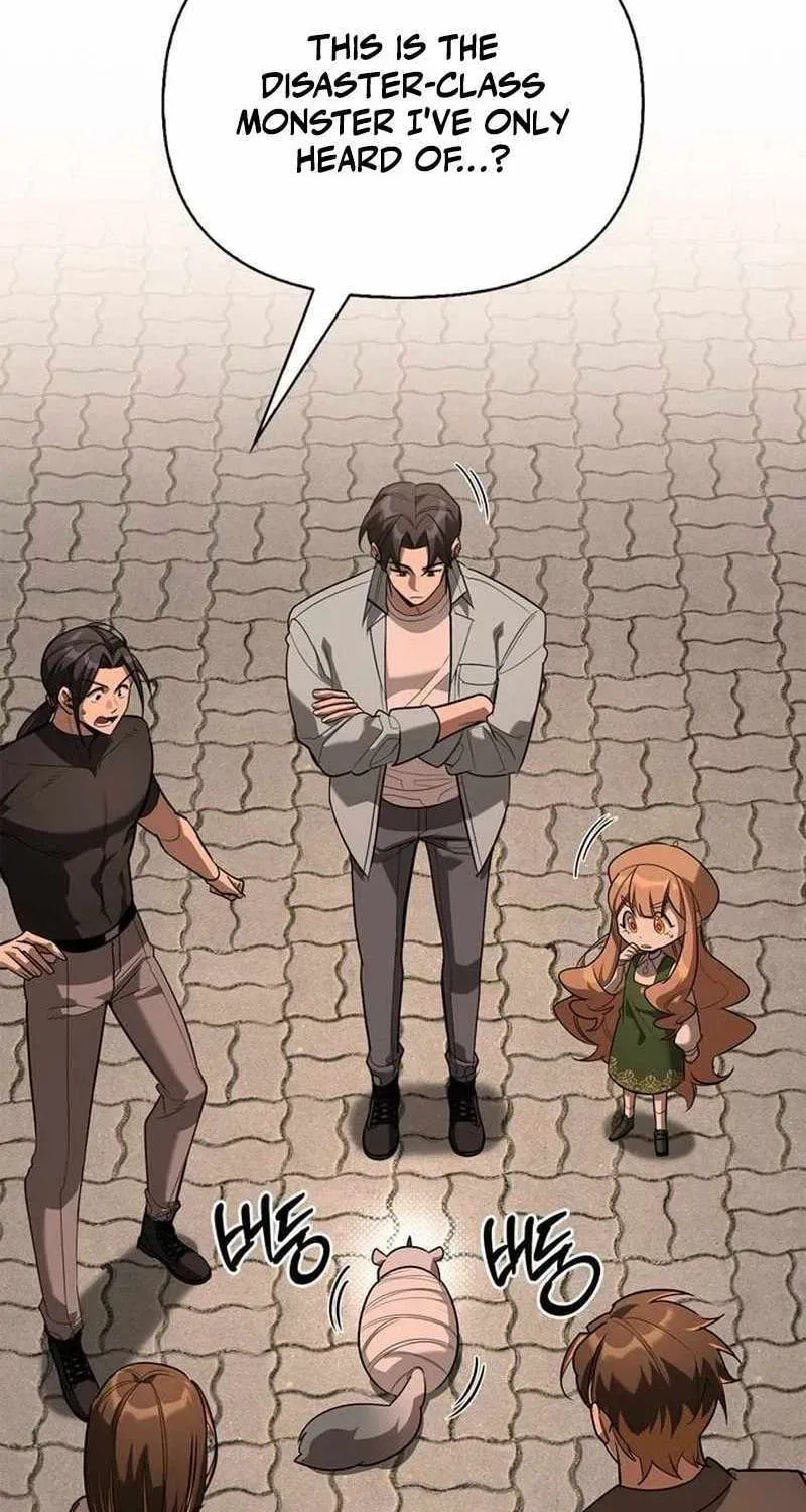 The S-Class Hunter Who Heals Monsters Chapter 43 page 45 - 