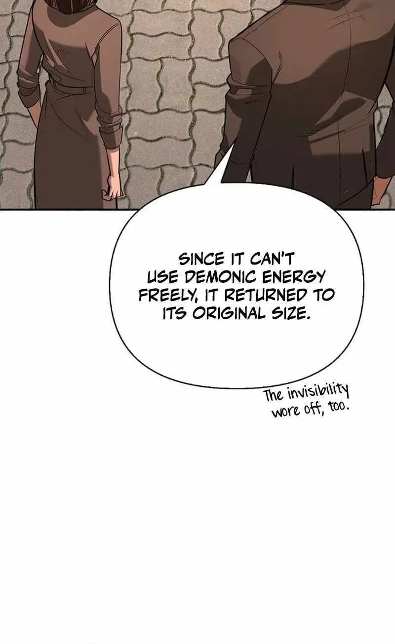 The S-Class Hunter Who Heals Monsters Chapter 43 page 46 - 