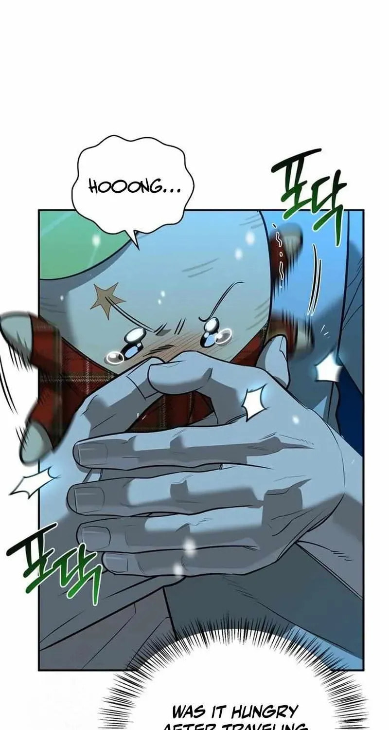 The S-Class Hunter Who Heals Monsters Chapter 44 page 46 - 