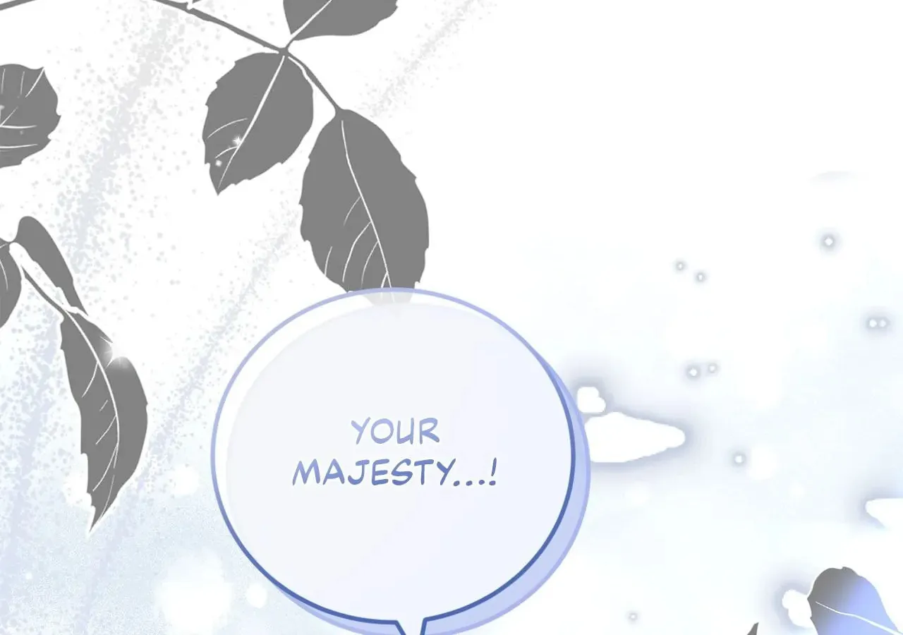 The Saintess Returns to the Emperor Chapter 13 page 8 - 