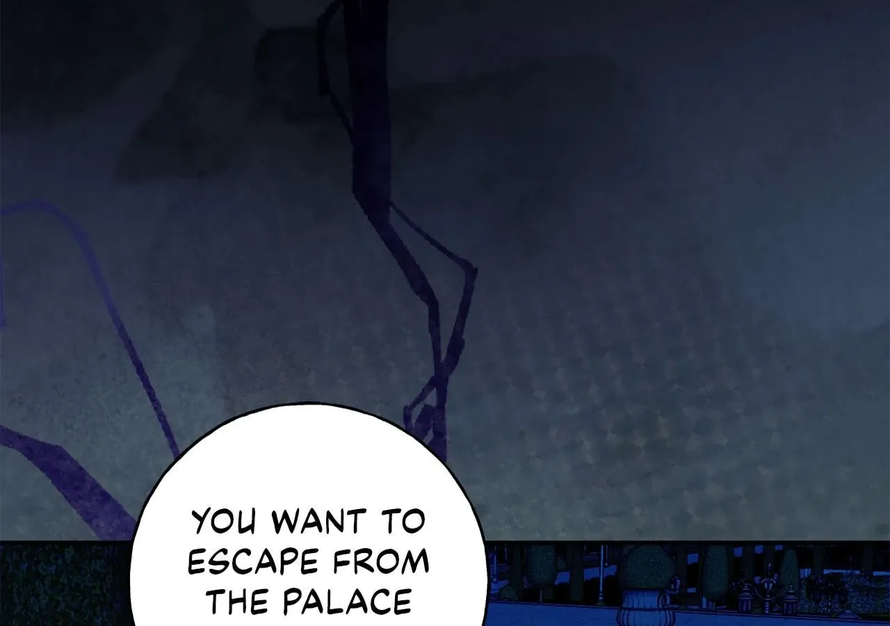 The Saintess Returns to the Emperor Chapter 72 page 2 - 