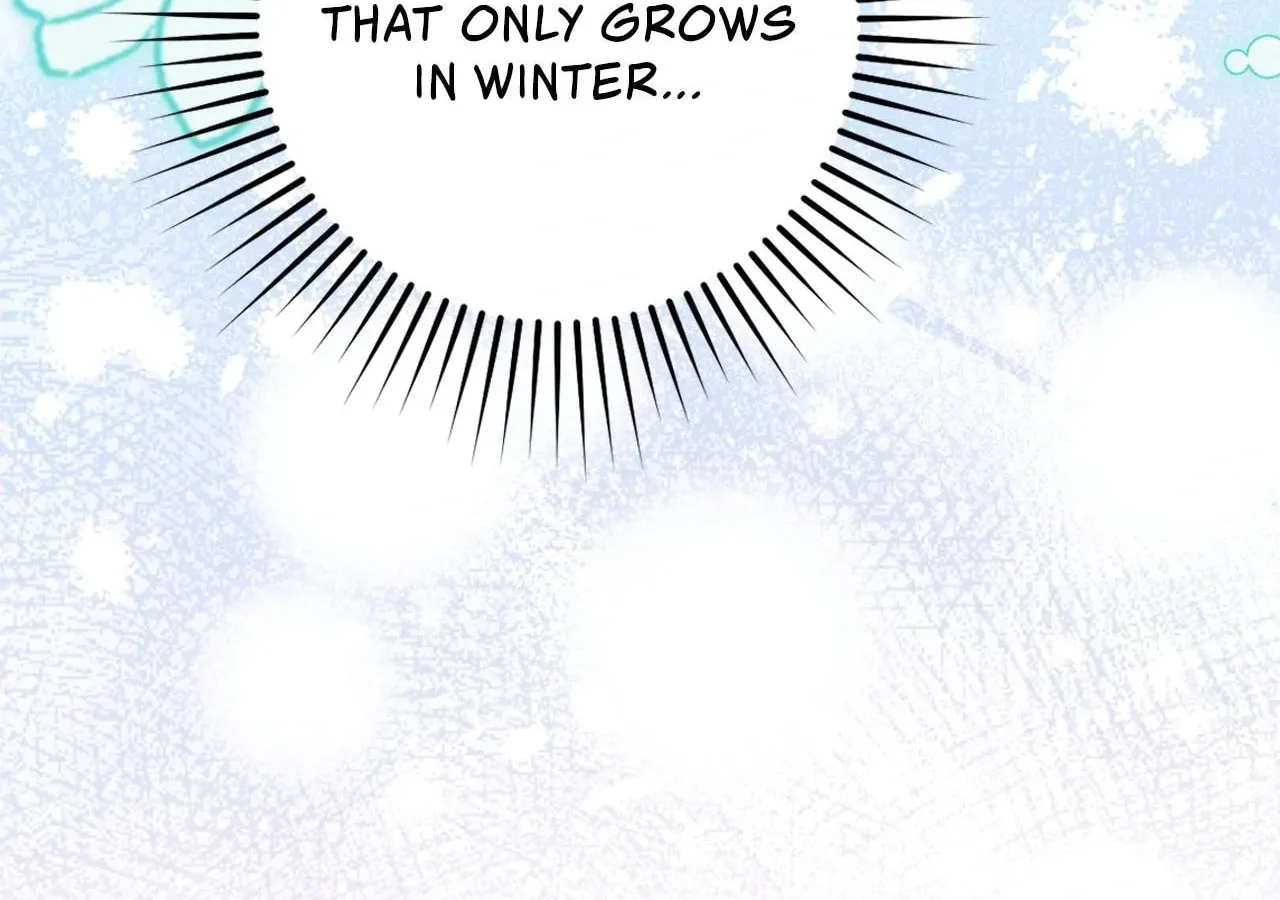 The Saintess Returns to the Emperor Chapter 75 page 110 - 