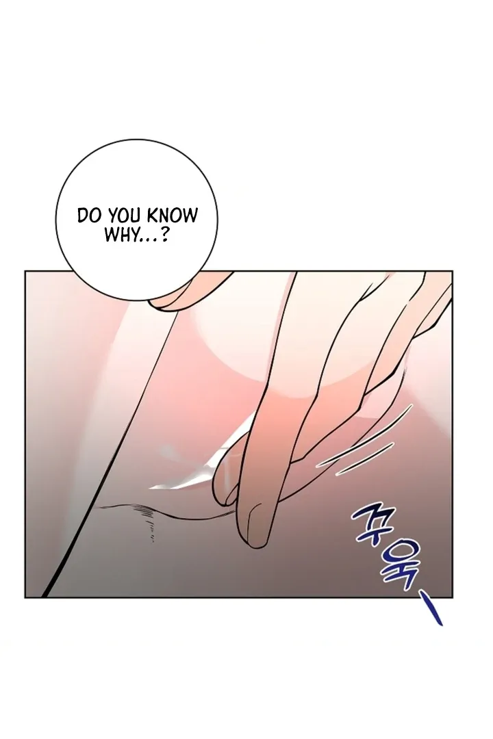 The Saintess's Petals Become Wet Chapter 13 page 78 - 