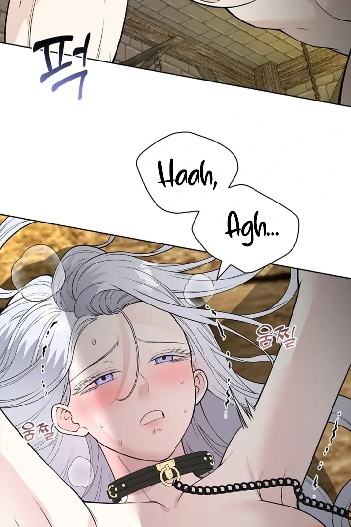 The Saintess's Petals Become Wet Chapter 14 page 5 - 