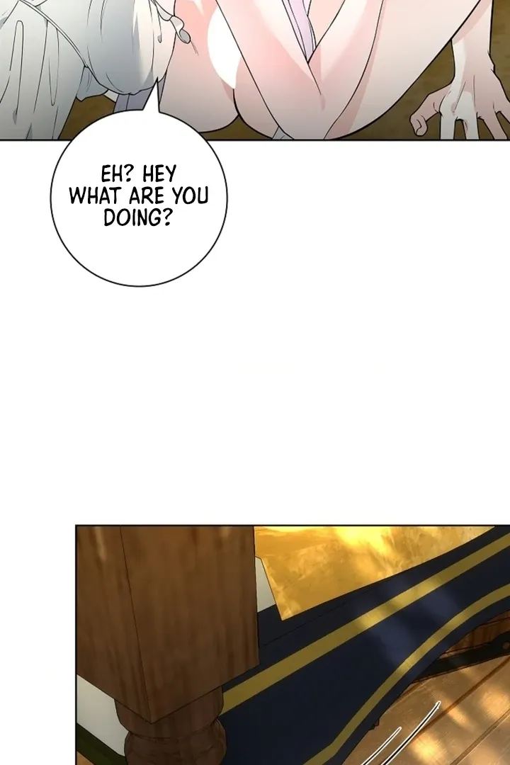 The Saintess's Petals Become Wet Chapter 17 page 29 - 